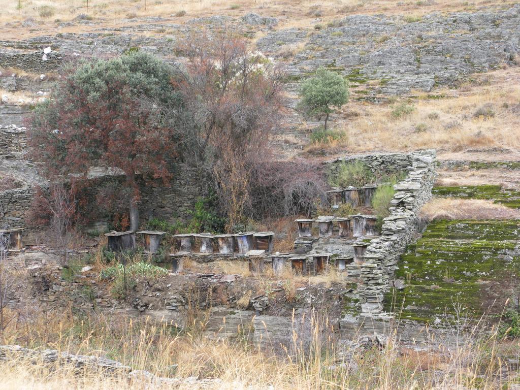 Hostería Camino Luyego de Somoza Exterior foto